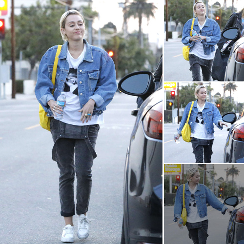 Miley Cyrus Enjoys a Laidback Shopping Outing with Friends in West Hollywood